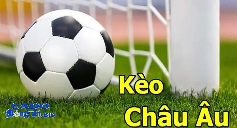 Các loại Kèo bóng đá phổ biến và cách đọc hiệu quả